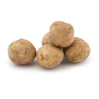 سیب زمینی تازه آذربایجان