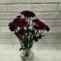 دسته گل داودی قرمز ۳ دسته