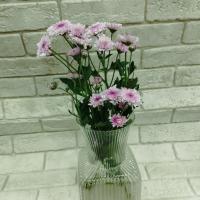 دسته گل داودی صورتی ۳ دسته