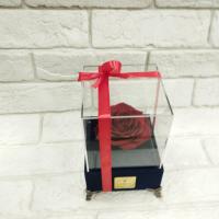 رز قرمز پایه مخمل کوکی