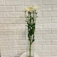 دسته گل داوودی سفید