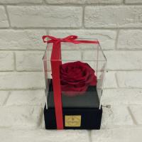 رز پایه چوبی هندلی قرمز