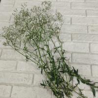 دسته گل چیپسی