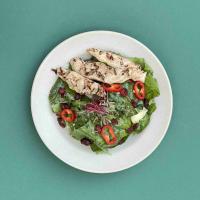 سالاد مرغ گریل