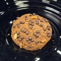 کوکی شکلاتی