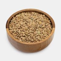 عدس ریز