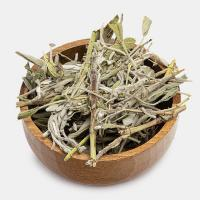 مریم گلی