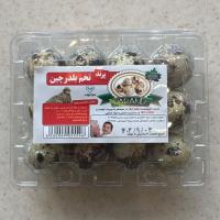 تخم بلدرچین
