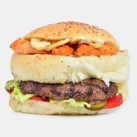 ساندیج رژیمی