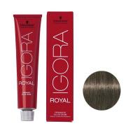 رنگ مو ايگورا رويال شماره 6.1 بلوند تیره