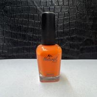 لاک ناخن نچرال شماره P22