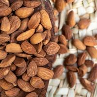 بادام درختی شور ایرانی