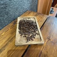 دان اسپشیال