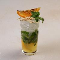 موهیتو جینجر