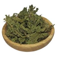 گیاه گزنه 50 گرم