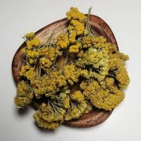 گیاه بو مادران 50 گرم