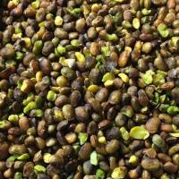 مغز بنه (پسته کوهی) 500گرم  - آجیل و خشکبار روستایی