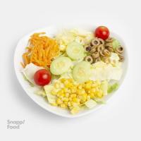 سالاد فصل یک نفره