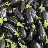 بادمجان لامپی