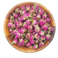 غنچه گل محمدی