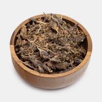 اسطوخودوس ایرانی