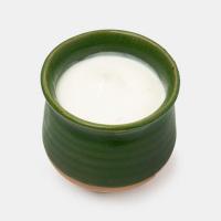 ماست موسیر کوزه ای