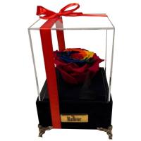 رز جاودان هفت رنگ موزیکالPR-032