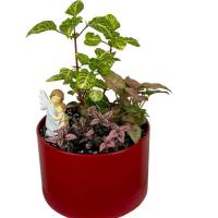 مجموعه گیاه با مجسمه مادر