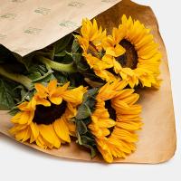 دسته گل آفتاب گردان