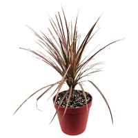 دراسنا پرچمی مدل GA4118