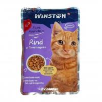 پوچ گربه بالغ وینستون طعم گوشت گاو