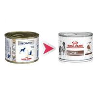 کنسرو ریکاوری مخصوص سگ و گربه رویال کنین