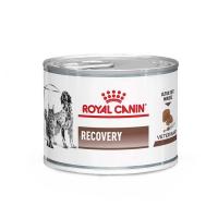 کنسرو ریکاوری سگ و گربه رویال کنین