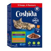 پوچ گربه بالغ کوشیدا