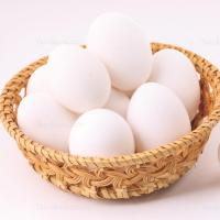 تخم مرغ درشت