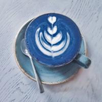 اسپیرولینا فندوق