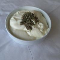 ماست چکیده ساده