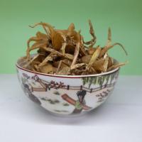ریشه ثعلب اصل