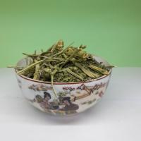 بولاغ اوتی