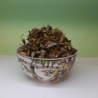 گل ساعتی بدون چوب