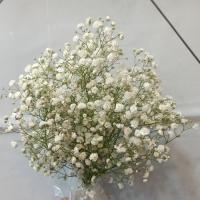 دسته گل ژیپسوفیلا - گلفروشی اکسیر (شهرآرا)