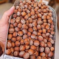 فندق اشکورات خام