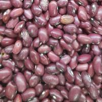 لوبیا قرمز