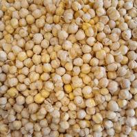 نخود شور ریز نیشابوری 