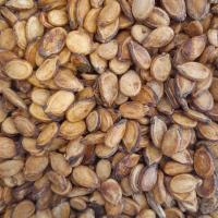 تخمه یزدی دو آتیشه