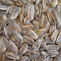 تخمه دو رنگ با طعم سس رنچ
