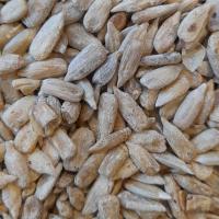 مغز تخمه آفتابگردان نمکی 