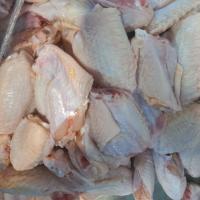 بال ساده مرغ