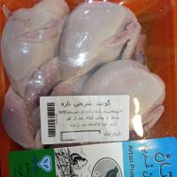 بلدرچین شرکتی