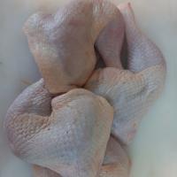 ران مرغ ارگانیک سمین